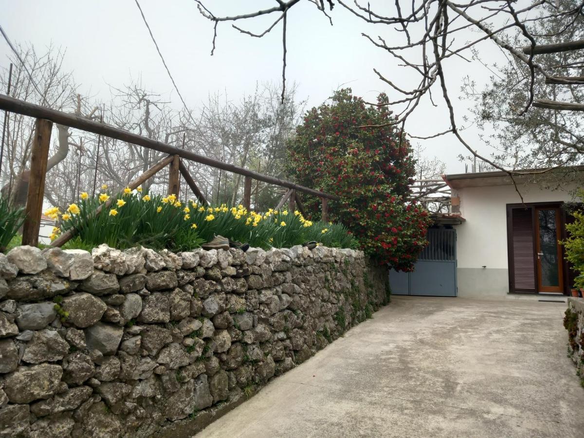 Mon Reve Daire Agerola Dış mekan fotoğraf