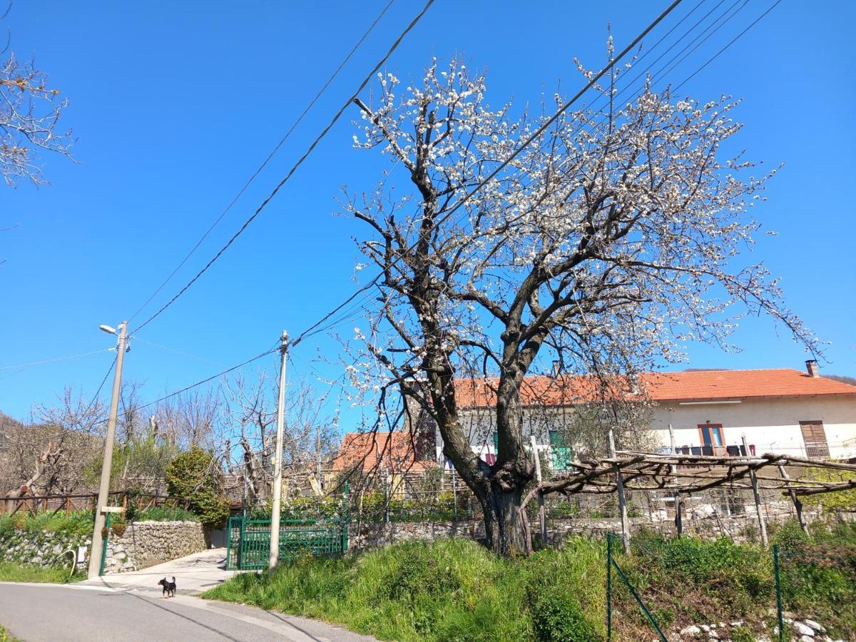 Mon Reve Daire Agerola Dış mekan fotoğraf